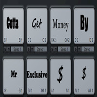 Mr.Exclusive - Gotta Get Money