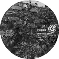 Danilenko - Beauty and the boost