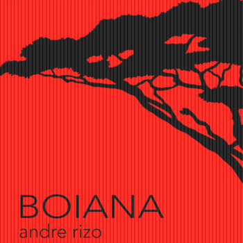 Andre Rizo - Boiana