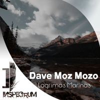 Dave Moz Mozo - Lagrimas Marinas