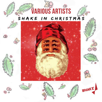 Various Artists - Shake In Christmas