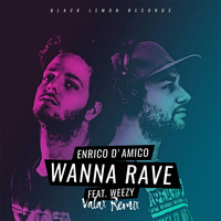 Enrico D'Amico - Wanna Rave (Valax Remix)