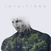 Intuitions - Monolith