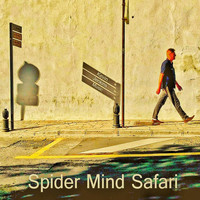 Kevin Jenkins - Spider Mind Safari