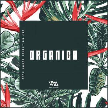 Various Artists - Organica #43