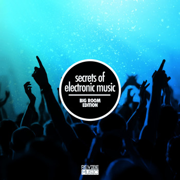 Various Artists - Secrets of Electronic Music - Big Room Edition