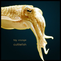Big Voyage - Cuttlefish