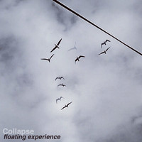 Collapse - Floating Experience