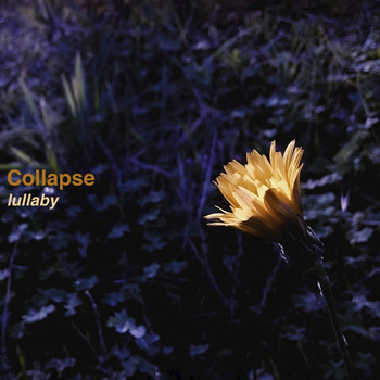 Collapse - Lullaby