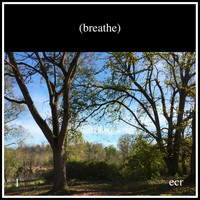 David Paul Mesler - Breathe 1