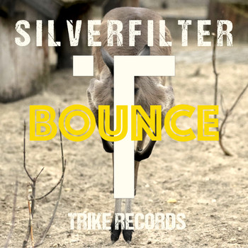 Silverfilter - Bounce