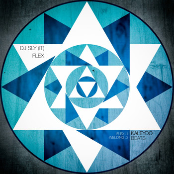 DJ Sly (IT) - Flex