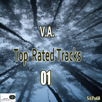 Various Artists - Top Rated Tracks 01