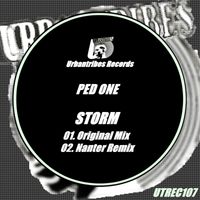 Ped One - Storm