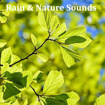 Sleep Sounds of Nature, Spa Relaxation, Rain for Deep Sleep - 07 Loopable Ambient Rain Sounds for Deep Sleep, Meditation, Spa, Yoga, Zen, Mindfulness