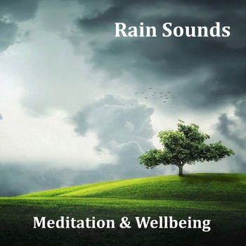 Mindfullness Meditation World, Mindfulness Meditation Music Spa Maestro, Kundalini: Yoga, Meditation, Relaxation - 13 Loopable Meditation Rain Sounds for Mindfulness and Wellbeing