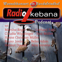 Hanns Christian Müller - Radio Ikebana: Wunschkonzert am Hundefriedhof