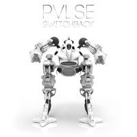 PVLSE - Switchback
