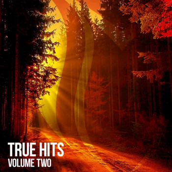 Various Artists - True Hits, Vol. 2