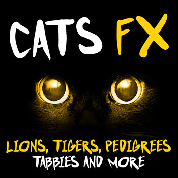 The Feline Effectors - Cats FX - Lions, Tigers, Pedigrees, Tabbies and More
