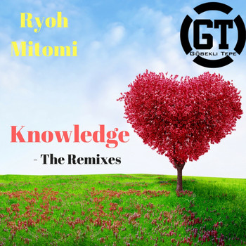Ryoh Mitomi - Knowledge The Remixes