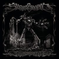 Slightly Stoopid - Chronchitis