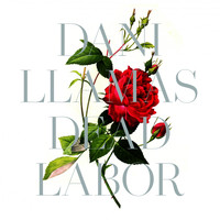 Dani Llamas - Dead Labor
