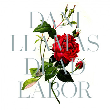 Dani Llamas - Dead Labor