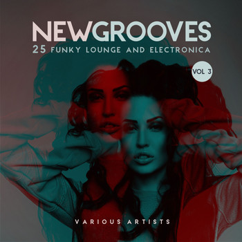 Various Artists - New Grooves, Vol. 3 (25 Funky Lounge & Electronica)