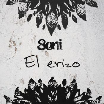 Boni - El erizo