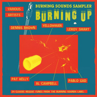 Tony Jay - Burning Sounds Sampler Burning Up