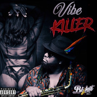 Bizkit - Vibe Killer (Radio edit)