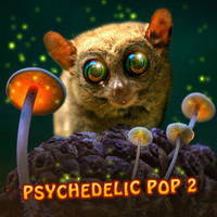 Huxley Ware - Psychedelic Pop 2