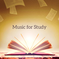 Studying Music Group - Music for Study