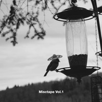 Misc - Misctape Vol.1