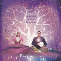 Purusha - Sounds Of The Universe
