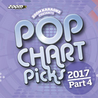 Zoom Karaoke - Zoom Karaoke Pop Chart Picks 2017 - Part 4 (Explicit)