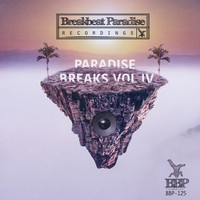 VA - Paradise Breaks Vol. IV