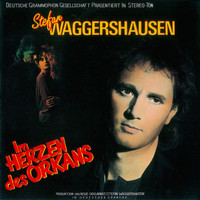 Stefan Waggershausen - Im Herzen des Orkans