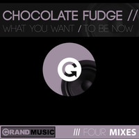 Chocolate Fudge - What You Want / To Be Now