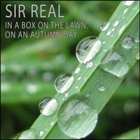 Sir Real - In a box on the lawn, on an Autumn day