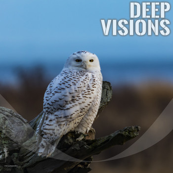 Various Artists - Deep Visions
