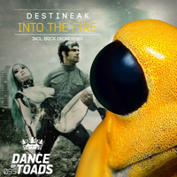 Destineak - Into The Fire
