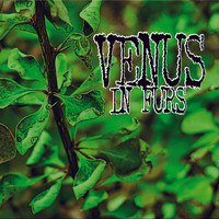Venus In Furs - Def