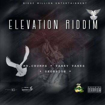 Various Artists - Elevation Riddim