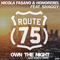 Nicola Fasano, Honorebel, Shaggy - Own The Night (Alex Guesta Tribal Mix)