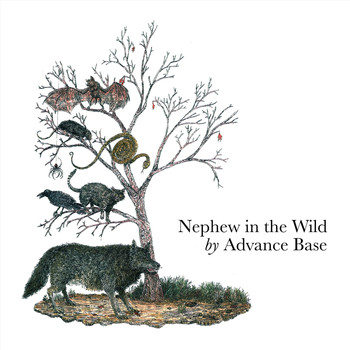 Advance Base - Nephew in the Wild (Deluxe Edition)