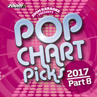Zoom Karaoke - Zoom Karaoke Pop Chart Picks 2017 - Part 8 (Explicit)