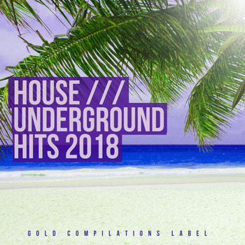 Various Artists - House Underground Hits 2018