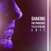 The Provence - Shaking (Teceprom Edit)